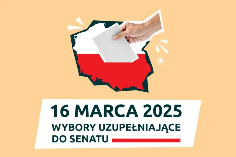 Profil zwycięzcy wyborów